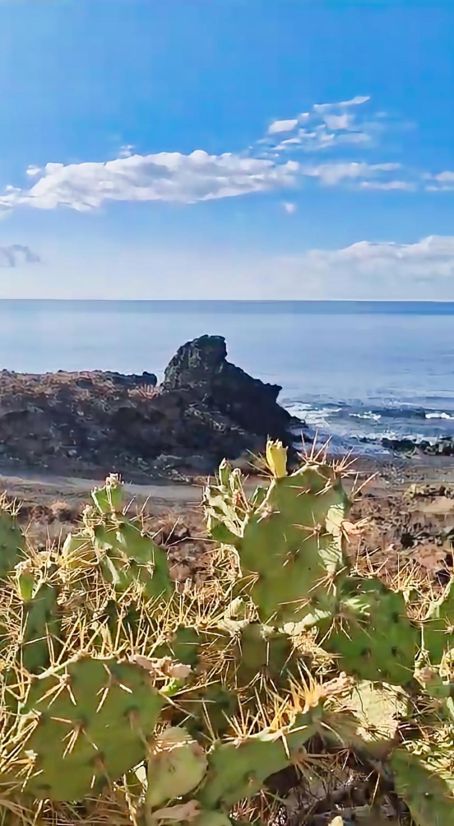 Casa Palmu Apartment - A Peaceful And Relaxing Oasis In Golf Del Sur, Tenerife San Miguel de Abona Esterno foto